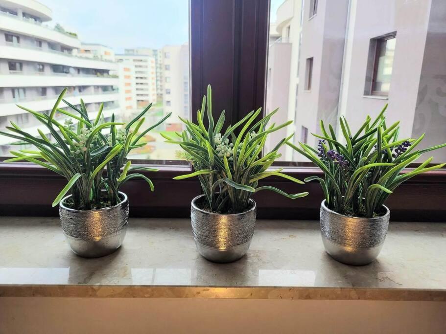 Apartment Sophie 3 Rooms, 2 Bathrooms, 8 Persons Krakow Luaran gambar